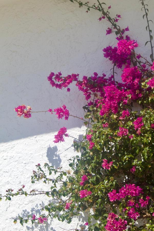 Luxury Tauro La Cala De Mijas